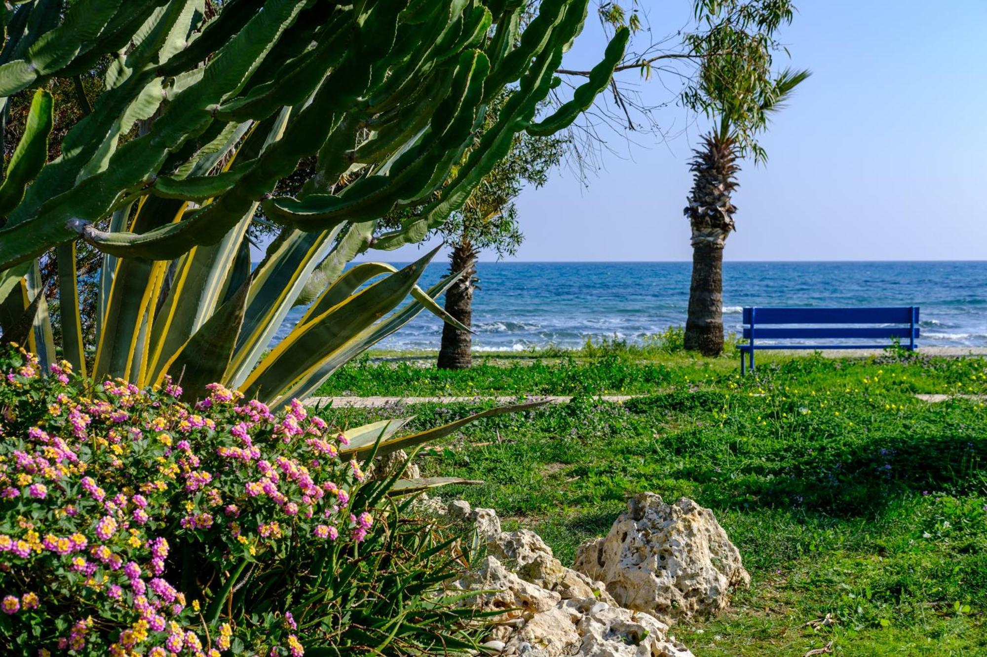 Demetris apartment Meneou Buitenkant foto